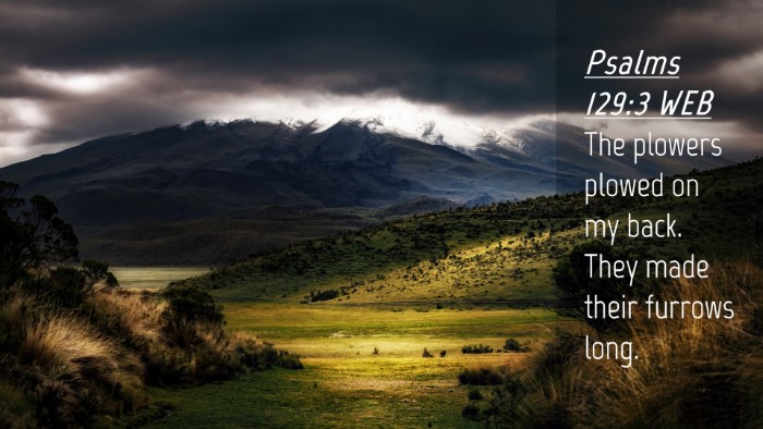 Picture 04 - Psalms 129:3 WEB Desktop Wallpaper - The plowers plowed on my back. They made their - Desktop Bible Verse Wallpaper