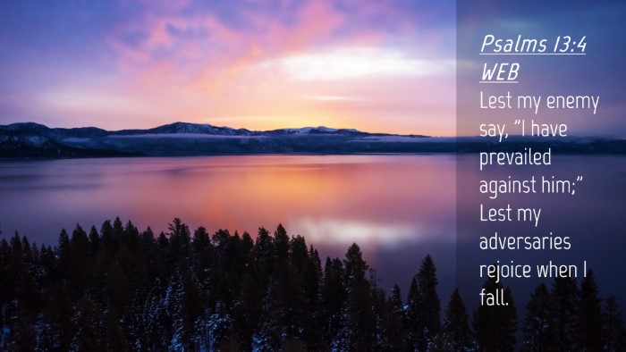 Picture 04 - Psalms 13:4 WEB Desktop Wallpaper - Lest my enemy say, 