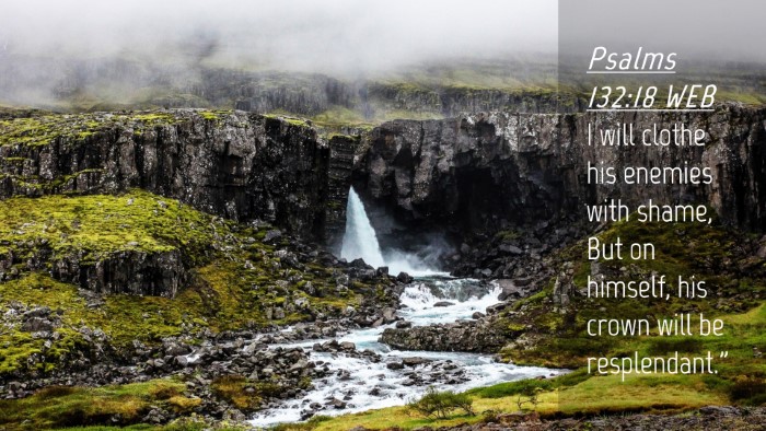 Picture 04 - Psalms 132:18 WEB Desktop Wallpaper - I will clothe his enemies with shame, But on - Desktop Bible Verse Wallpaper