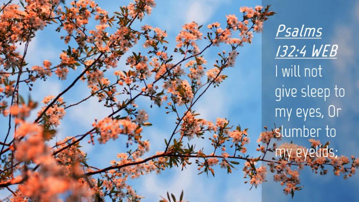 Picture 04 - Psalms 132:4 WEB Desktop Wallpaper - I will not give sleep to my eyes, Or slumber to - Desktop Bible Verse Wallpaper