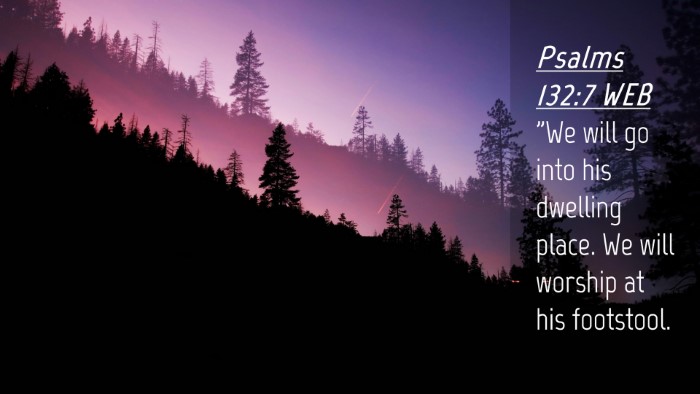 Picture 04 - Psalms 132:7 WEB Desktop Wallpaper - 