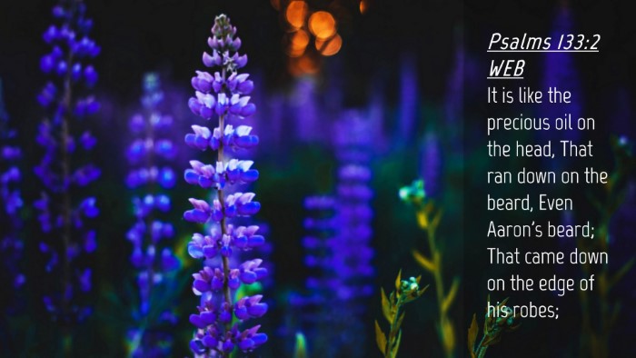 Picture 04 - Psalms 133:2 WEB Desktop Wallpaper - It is like the precious oil on the head, That ran - Desktop Bible Verse Wallpaper