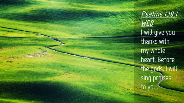 Picture 04 - Psalms 138:1 WEB Desktop Wallpaper - I will give you thanks with my whole heart. - Desktop Bible Verse Wallpaper