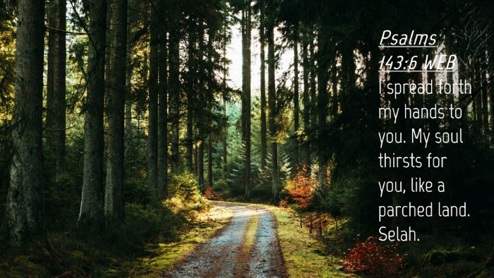 Picture 04 - Psalms 143:6 WEB Desktop Wallpaper - I spread forth my hands to you. My soul thirsts - Desktop Bible Verse Wallpaper