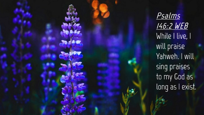 Picture 04 - Psalms 146:2 WEB Desktop Wallpaper - While I live, I will praise Yahweh. I will sing - Desktop Bible Verse Wallpaper