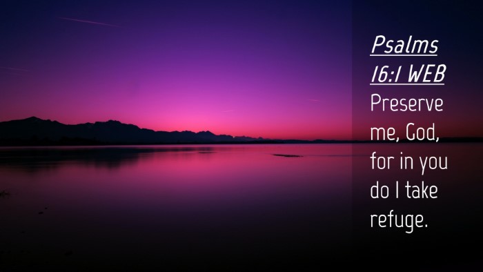 Picture 04 - Psalms 16:1 WEB Desktop Wallpaper - Preserve me, God, for in you do I take - Desktop Bible Verse Wallpaper