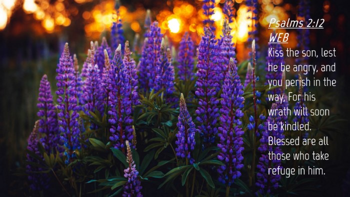 Picture 04 - Psalms 2:12 WEB Desktop Wallpaper - Kiss the son, lest he be angry, and you perish in - Desktop Bible Verse Wallpaper