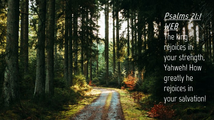 Picture 04 - Psalms 21:1 WEB Desktop Wallpaper - The king rejoices in your strength, Yahweh! How - Desktop Bible Verse Wallpaper