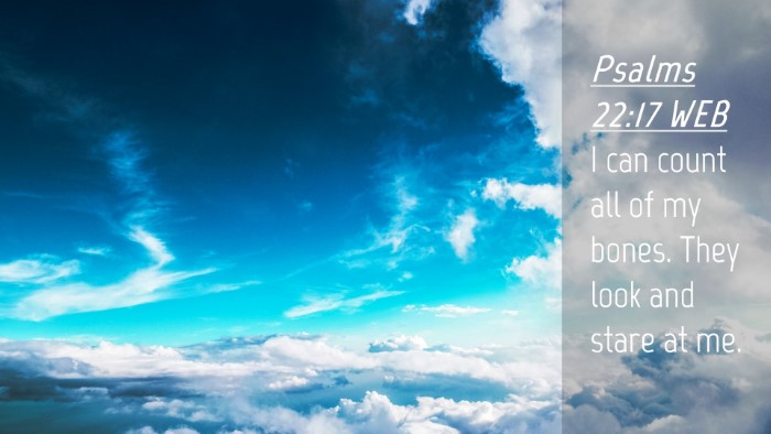 Picture 04 - Psalms 22:17 WEB Desktop Wallpaper - I can count all of my bones. They look and stare - Desktop Bible Verse Wallpaper