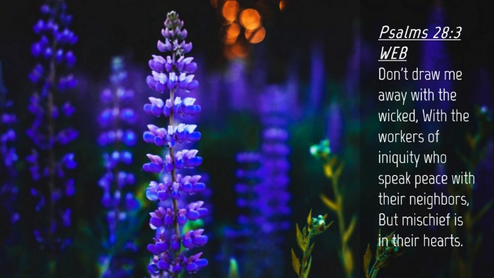Picture 04 - Psalms 28:3 WEB Desktop Wallpaper - Don't draw me away with the wicked, With the - Desktop Bible Verse Wallpaper