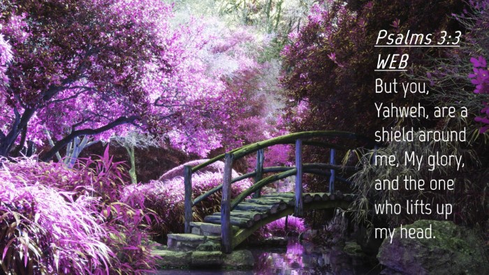 Picture 04 - Psalms 3:3 WEB Desktop Wallpaper - But you, Yahweh, are a shield around me, My - Desktop Bible Verse Wallpaper