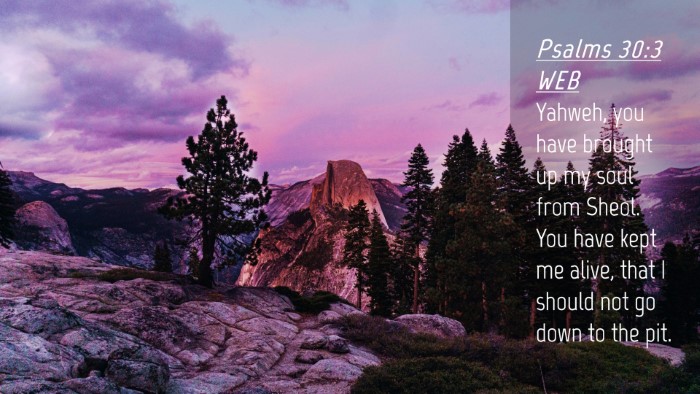 Picture 04 - Psalms 30:3 WEB Desktop Wallpaper - Yahweh, you have brought up my soul from Sheol. - Desktop Bible Verse Wallpaper