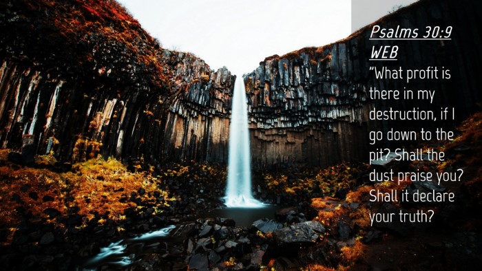Picture 04 - Psalms 30:9 WEB Desktop Wallpaper - 