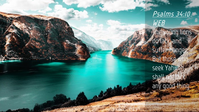 Picture 04 - Psalms 34:10 WEB Desktop Wallpaper - The young lions do lack, and suffer hunger, But - Desktop Bible Verse Wallpaper