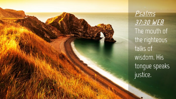 Picture 04 - Psalms 37:30 WEB Desktop Wallpaper - The mouth of the righteous talks of wisdom. His - Desktop Bible Verse Wallpaper