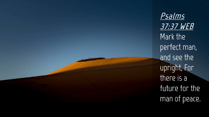 Picture 04 - Psalms 37:37 WEB Desktop Wallpaper - Mark the perfect man, and see the upright, For - Desktop Bible Verse Wallpaper