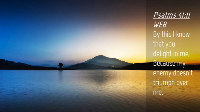 Picture 04 - Psalms 41:11 WEB Desktop Wallpaper - By this I know that you delight in me, Because my - Desktop Bible Verse Wallpaper