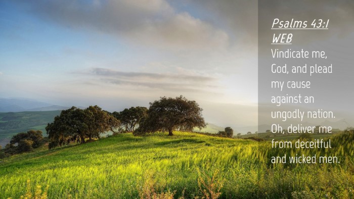 Picture 04 - Psalms 43:1 WEB Desktop Wallpaper - Vindicate me, God, and plead my cause against an - Desktop Bible Verse Wallpaper