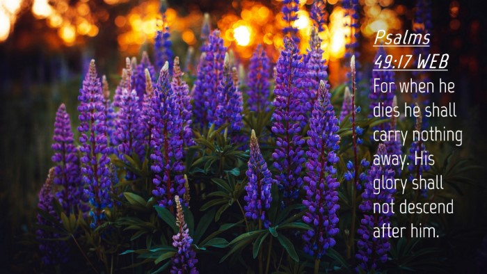 Picture 04 - Psalms 49:17 WEB Desktop Wallpaper - For when he dies he shall carry nothing away. His - Desktop Bible Verse Wallpaper