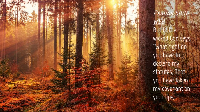 Picture 04 - Psalms 50:16 WEB Desktop Wallpaper - But to the wicked God says, 