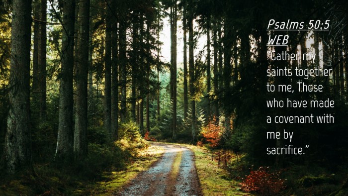 Picture 04 - Psalms 50:5 WEB Desktop Wallpaper - 