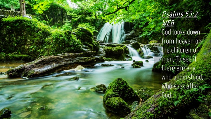 Picture 04 - Psalms 53:2 WEB Desktop Wallpaper - God looks down from heaven on the children of - Desktop Bible Verse Wallpaper