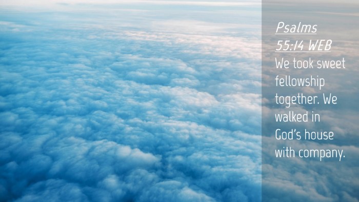 Picture 04 - Psalms 55:14 WEB Desktop Wallpaper - We took sweet fellowship together. We walked in - Desktop Bible Verse Wallpaper