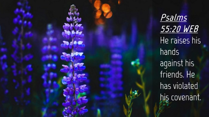 Picture 04 - Psalms 55:20 WEB Desktop Wallpaper - He raises his hands against his friends. He has - Desktop Bible Verse Wallpaper