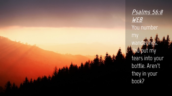 Picture 04 - Psalms 56:8 WEB Desktop Wallpaper - You number my wanderings. You put my tears into - Desktop Bible Verse Wallpaper