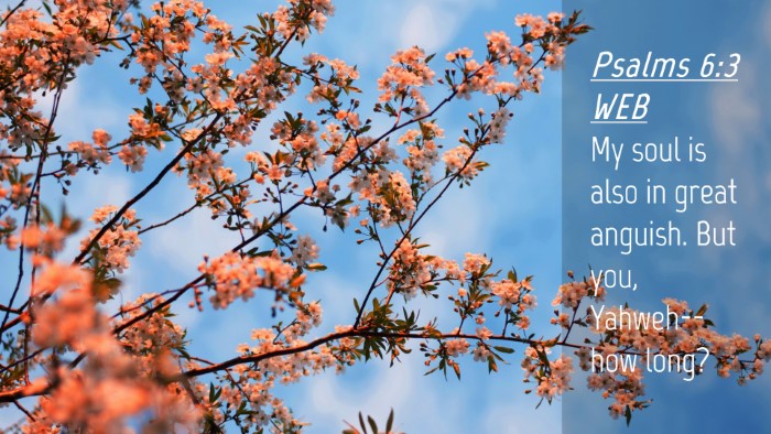 Picture 04 - Psalms 6:3 WEB Desktop Wallpaper - My soul is also in great anguish. But you, - Desktop Bible Verse Wallpaper