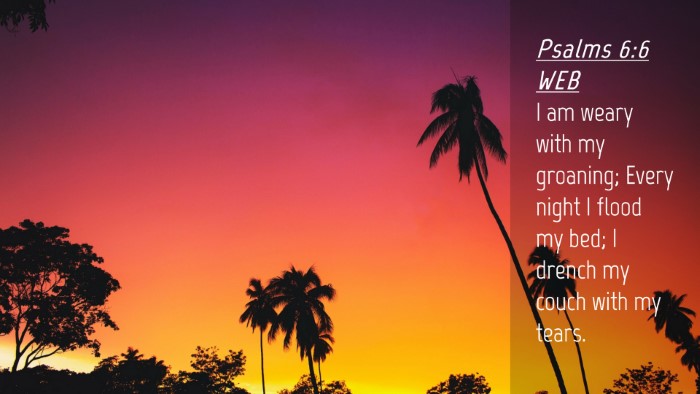 Picture 04 - Psalms 6:6 WEB Desktop Wallpaper - I am weary with my groaning; Every night I flood - Desktop Bible Verse Wallpaper