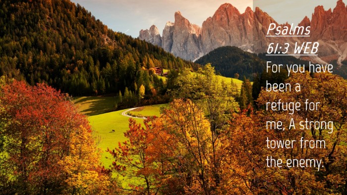 Picture 04 - Psalms 61:3 WEB Desktop Wallpaper - For you have been a refuge for me, A strong tower - Desktop Bible Verse Wallpaper