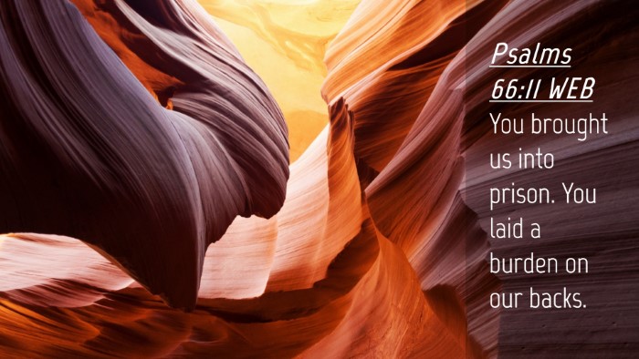 Picture 04 - Psalms 66:11 WEB Desktop Wallpaper - You brought us into prison. You laid a burden on - Desktop Bible Verse Wallpaper