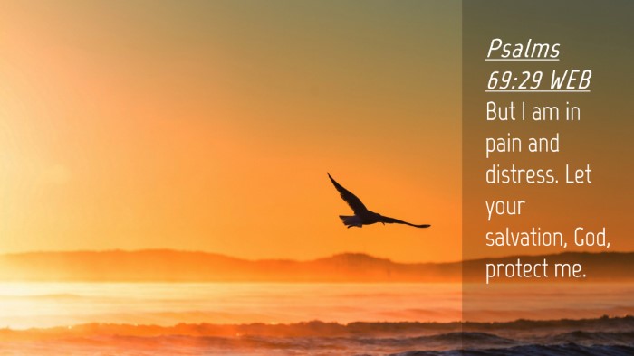 Picture 04 - Psalms 69:29 WEB Desktop Wallpaper - But I am in pain and distress. Let your - Desktop Bible Verse Wallpaper