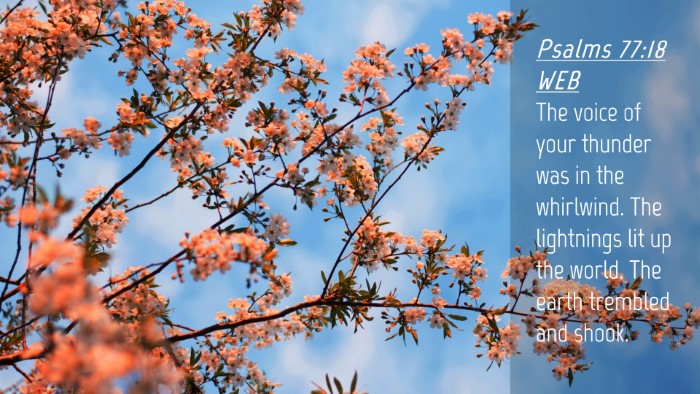 Picture 04 - Psalms 77:18 WEB Desktop Wallpaper - The voice of your thunder was in the whirlwind. - Desktop Bible Verse Wallpaper