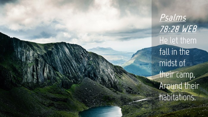 Picture 04 - Psalms 78:28 WEB Desktop Wallpaper - He let them fall in the midst of their camp, - Desktop Bible Verse Wallpaper