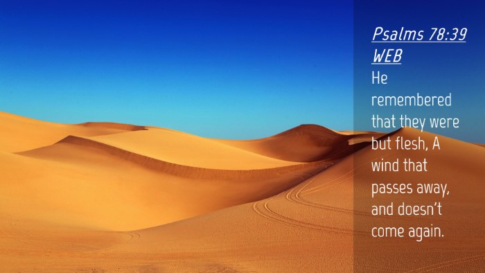 Picture 04 - Psalms 78:39 WEB Desktop Wallpaper - He remembered that they were but flesh, A wind - Desktop Bible Verse Wallpaper