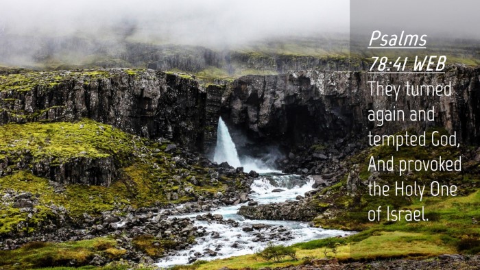 Picture 04 - Psalms 78:41 WEB Desktop Wallpaper - They turned again and tempted God, And provoked - Desktop Bible Verse Wallpaper