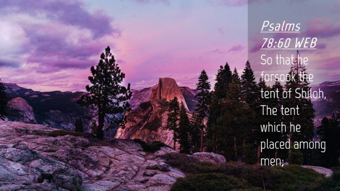 Picture 04 - Psalms 78:60 WEB Desktop Wallpaper - So that he forsook the tent of Shiloh, The tent - Desktop Bible Verse Wallpaper
