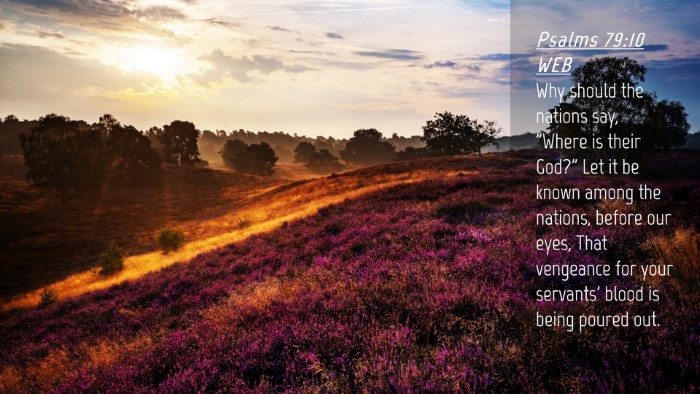 Picture 04 - Psalms 79:10 WEB Desktop Wallpaper - Why should the nations say, 