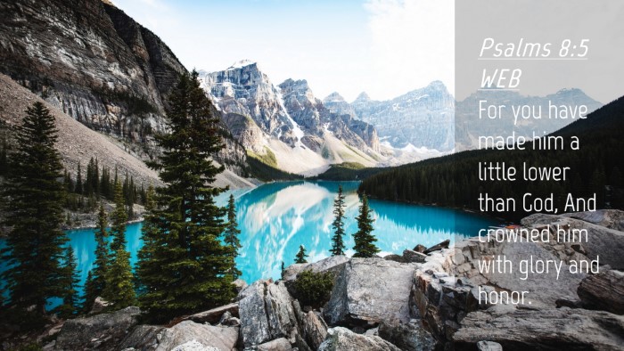 Picture 04 - Psalms 8:5 WEB Desktop Wallpaper - For you have made him a little lower than God, - Desktop Bible Verse Wallpaper