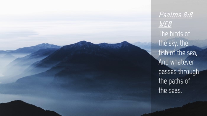 Picture 04 - Psalms 8:8 WEB Desktop Wallpaper - The birds of the sky, the fish of the sea, And - Desktop Bible Verse Wallpaper