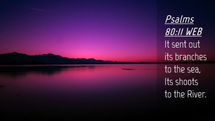 Picture 04 - Psalms 80:11 WEB Desktop Wallpaper - It sent out its branches to the sea, Its shoots - Desktop Bible Verse Wallpaper