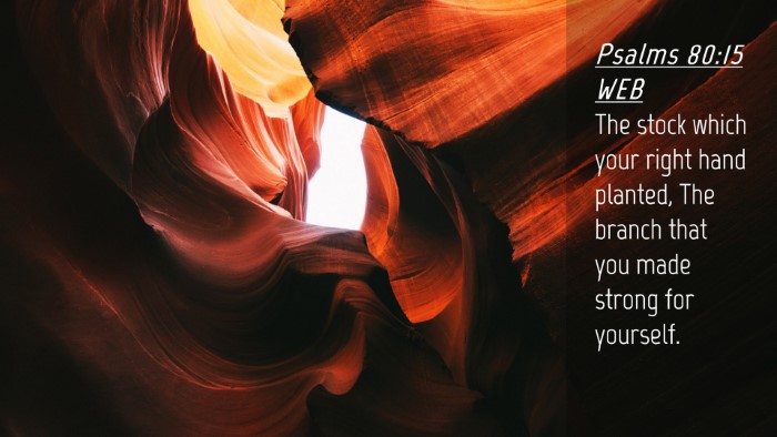 Picture 04 - Psalms 80:15 WEB Desktop Wallpaper - The stock which your right hand planted, The - Desktop Bible Verse Wallpaper