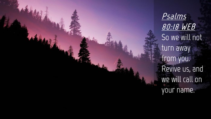 Picture 04 - Psalms 80:18 WEB Desktop Wallpaper - So we will not turn away from you. Revive us, and - Desktop Bible Verse Wallpaper
