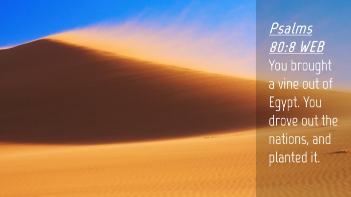 Picture 04 - Psalms 80:8 WEB Desktop Wallpaper - You brought a vine out of Egypt. You drove out - Desktop Bible Verse Wallpaper