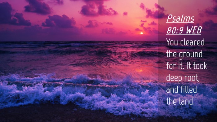 Picture 04 - Psalms 80:9 WEB Desktop Wallpaper - You cleared the ground for it. It took deep root, - Desktop Bible Verse Wallpaper
