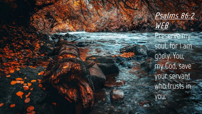 Picture 04 - Psalms 86:2 WEB Desktop Wallpaper - Preserve my soul, for I am godly. You, my God, - Desktop Bible Verse Wallpaper