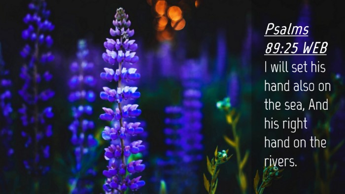 Picture 04 - Psalms 89:25 WEB Desktop Wallpaper - I will set his hand also on the sea, And his - Desktop Bible Verse Wallpaper