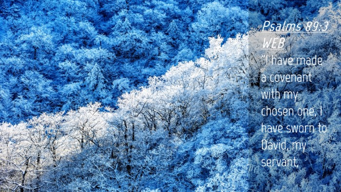 Picture 04 - Psalms 89:3 WEB Desktop Wallpaper - 